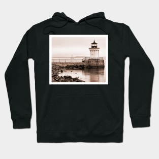 Early Morning Bug Light Hoodie